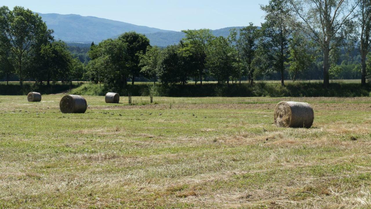 Agriturismo Casa Agricola Rossi Appartamenti In Casentino Soci Екстер'єр фото