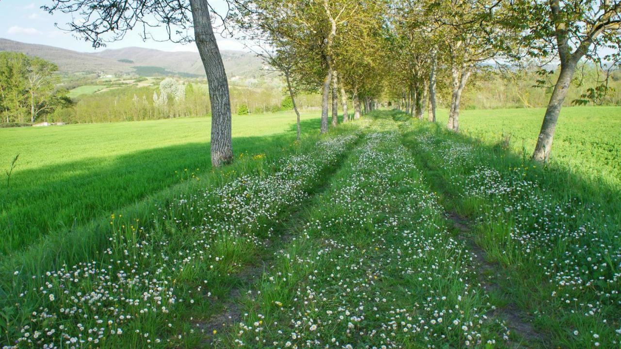 Agriturismo Casa Agricola Rossi Appartamenti In Casentino Soci Екстер'єр фото