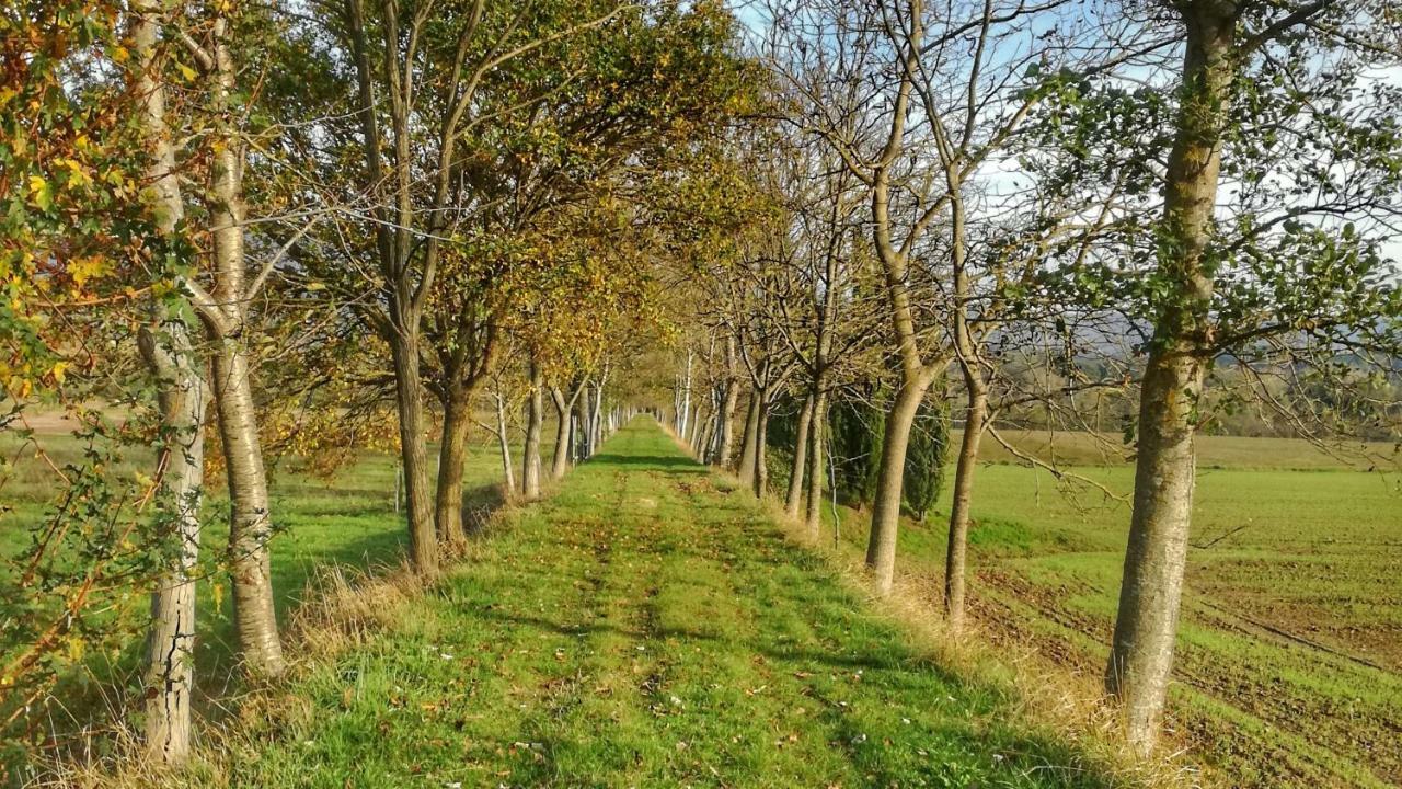 Agriturismo Casa Agricola Rossi Appartamenti In Casentino Soci Екстер'єр фото