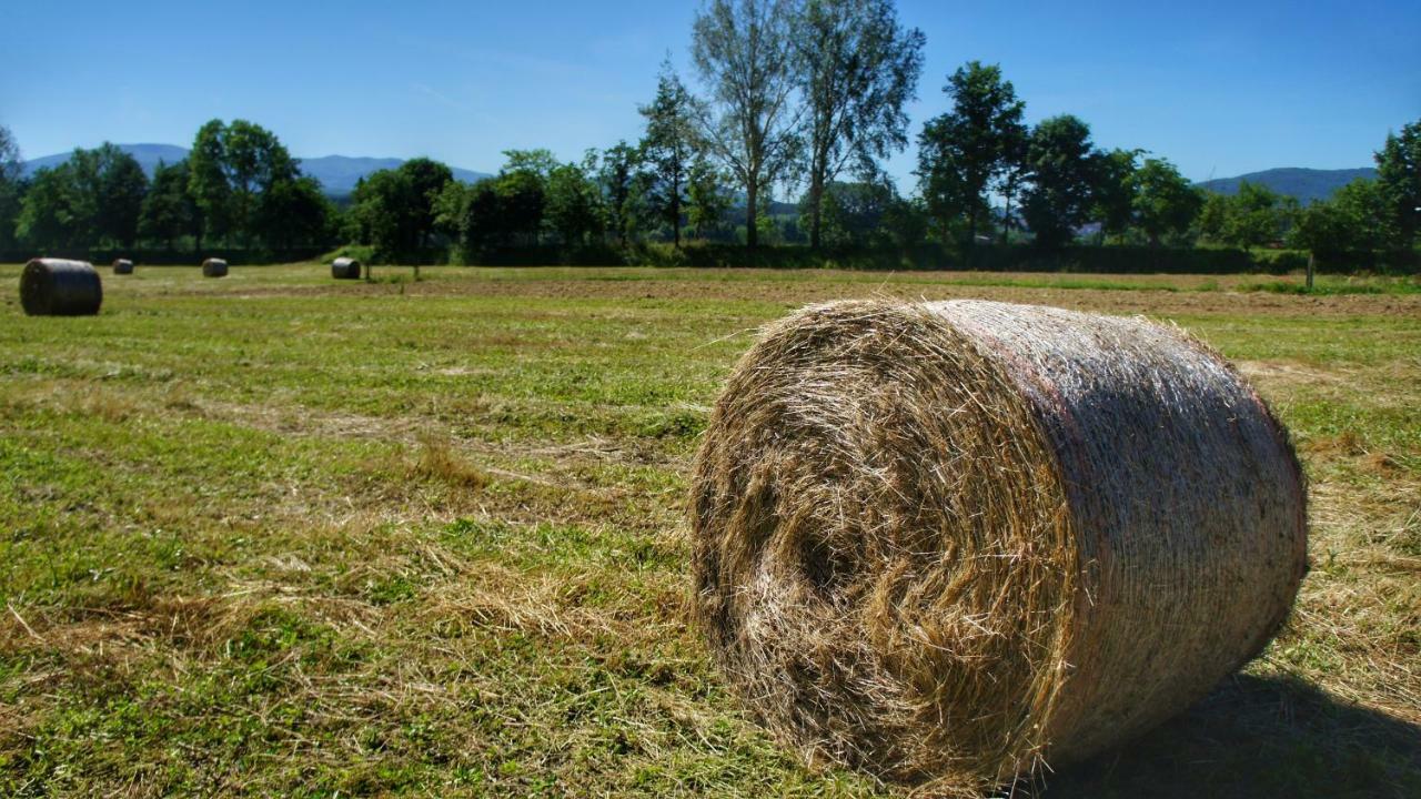 Agriturismo Casa Agricola Rossi Appartamenti In Casentino Soci Екстер'єр фото