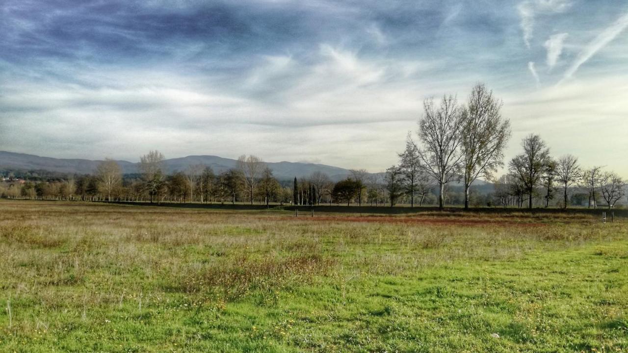 Agriturismo Casa Agricola Rossi Appartamenti In Casentino Soci Екстер'єр фото