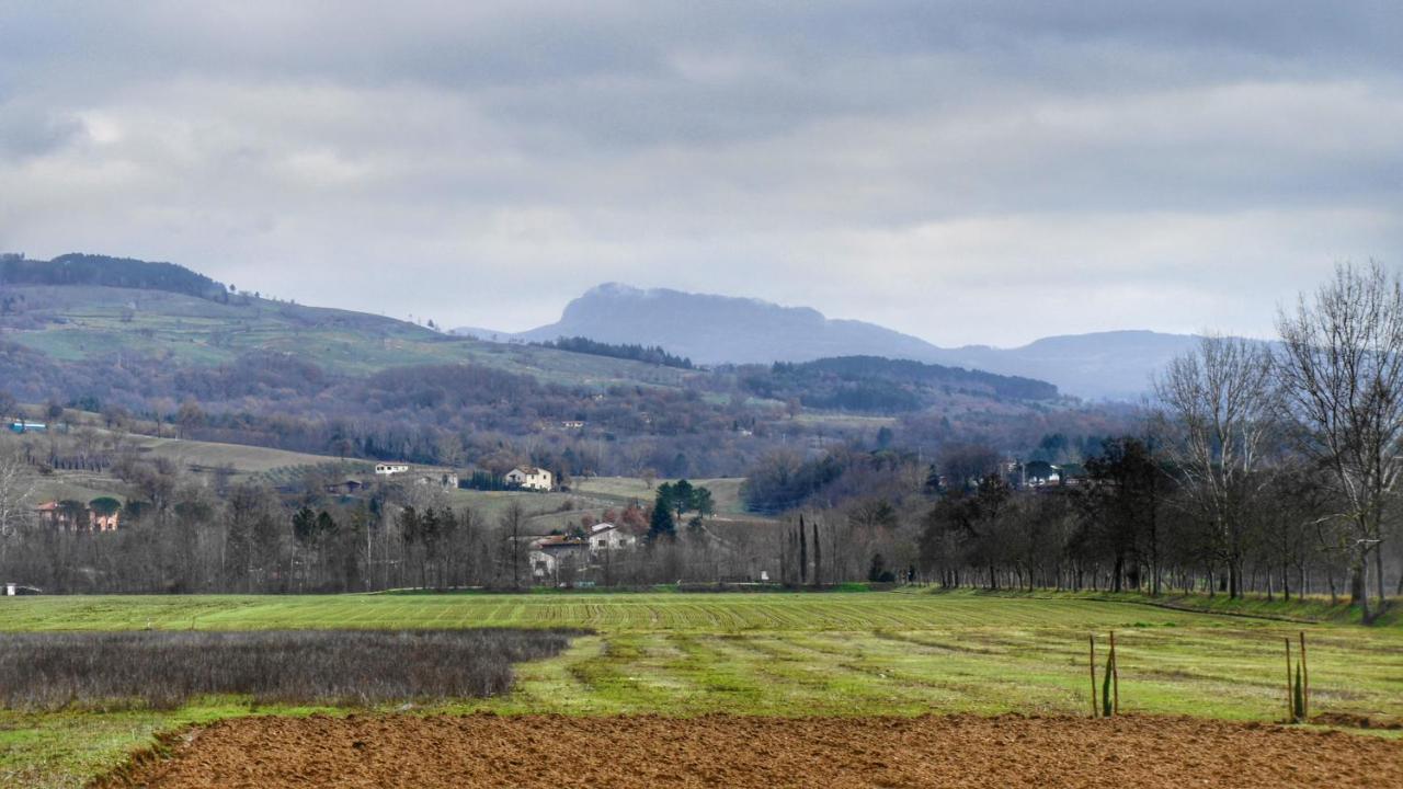 Agriturismo Casa Agricola Rossi Appartamenti In Casentino Soci Екстер'єр фото