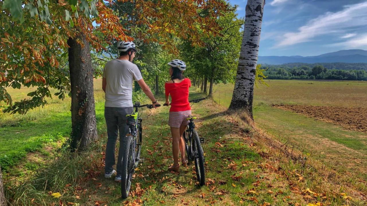 Agriturismo Casa Agricola Rossi Appartamenti In Casentino Soci Екстер'єр фото