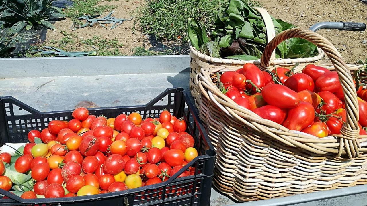 Agriturismo Casa Agricola Rossi Appartamenti In Casentino Soci Екстер'єр фото